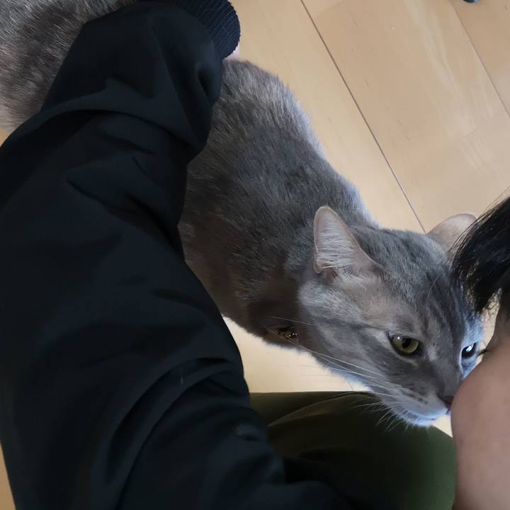 956b09b9 1651 4d82 aa69 e2b44346344a 1586506775552