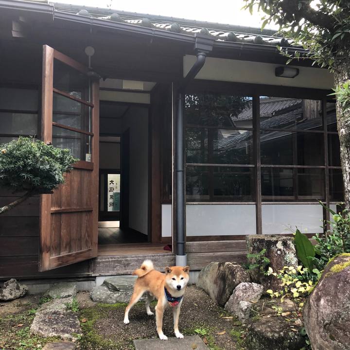 956b53e7 5e09 469a 8de6 44d3640b3aa0 1539504155787