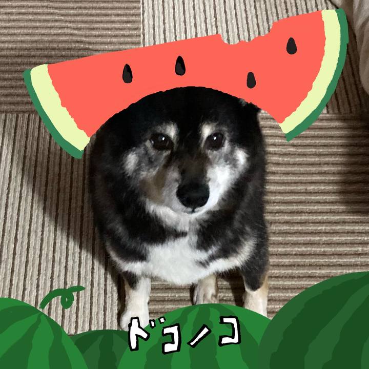 956b63b2 e6d5 40a0 b706 4169b227e673 1721191276212