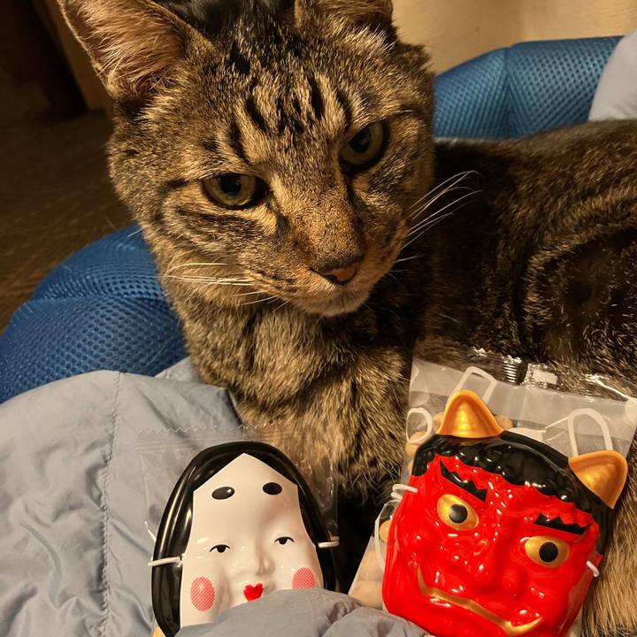 956b6521 a7e1 4a70 841f 5bb0e72cec1c 1770123966776