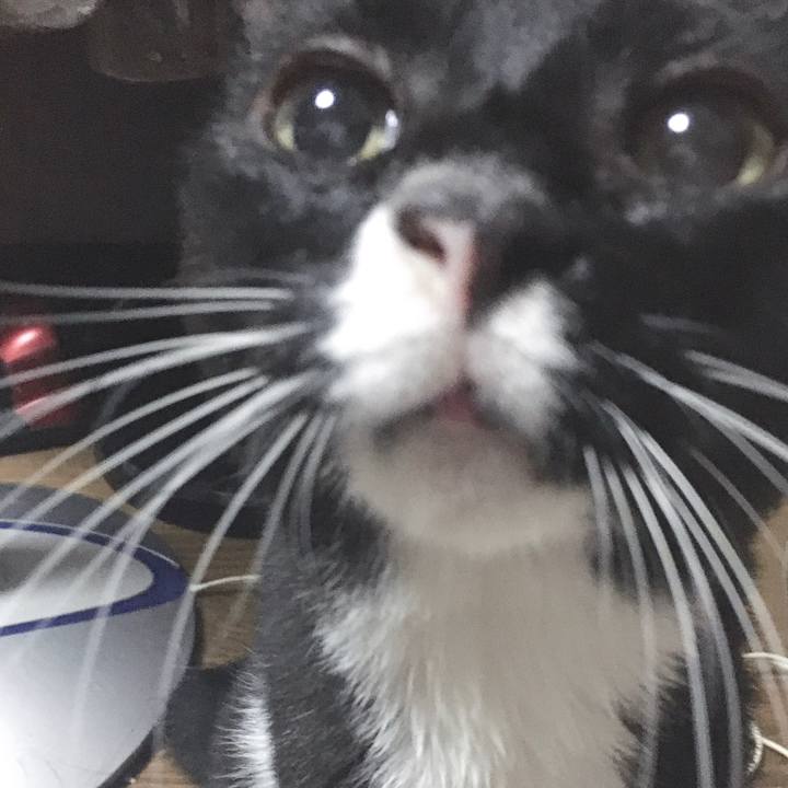 956b701d 6d4d 44f4 9c6b 3737f2748ce6 1570192024222