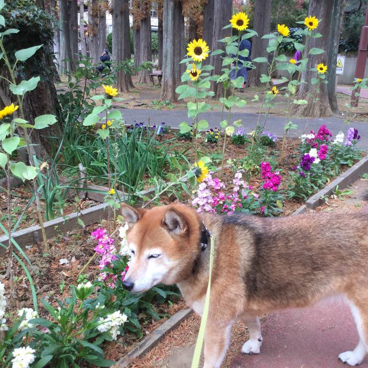 956bd68b bdec 4b44 af5d c19b443f3243 1606887211948