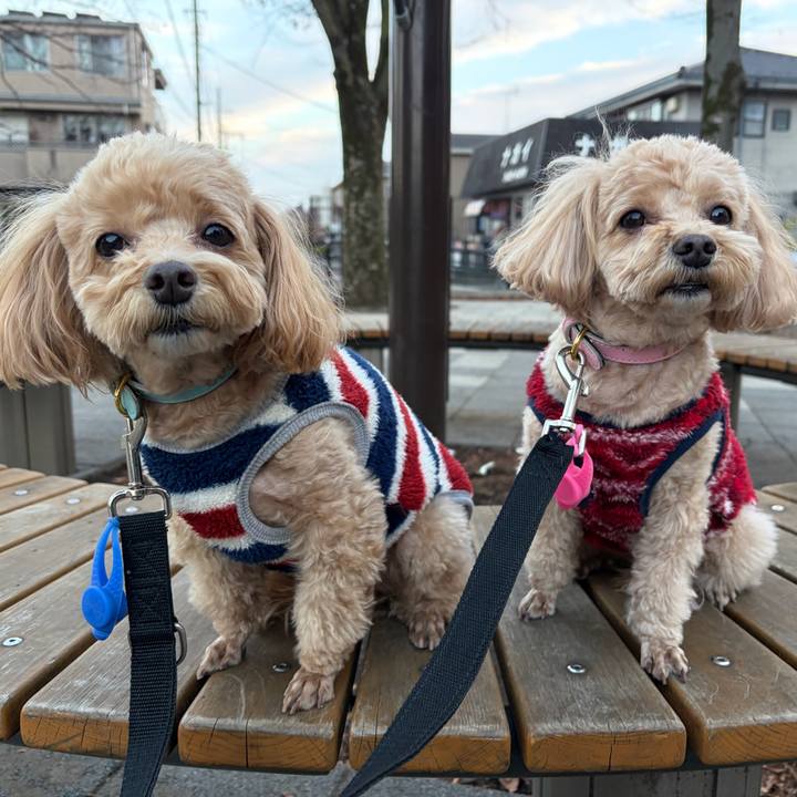 956be875 fc98 4f90 bd0f a598aef7b4c5 1767279635695