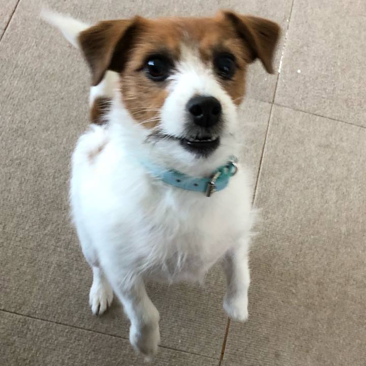 956c2a23 3757 4d98 8abb 10d4e0857c89 1522473114468