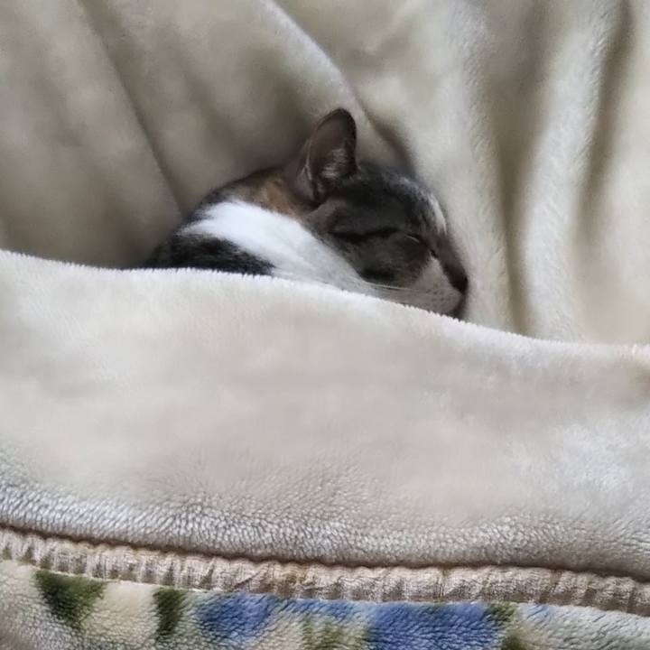 956c3cfa ca05 45e0 820b cc31b9bd06f5 1611462949603