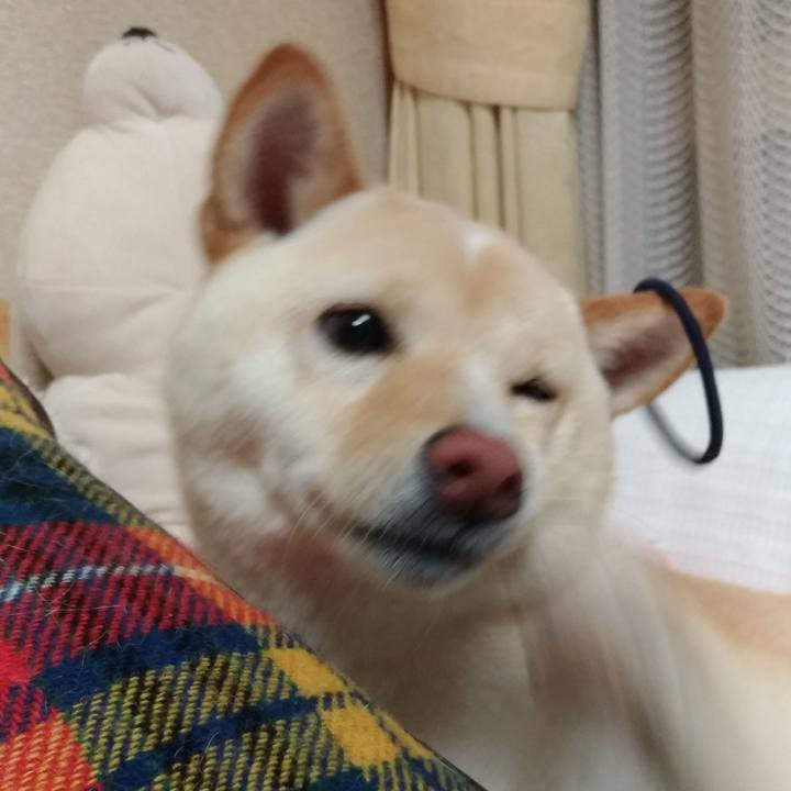 956c3d2b 3469 4e28 92ac 257f7da52d63 1526040280118