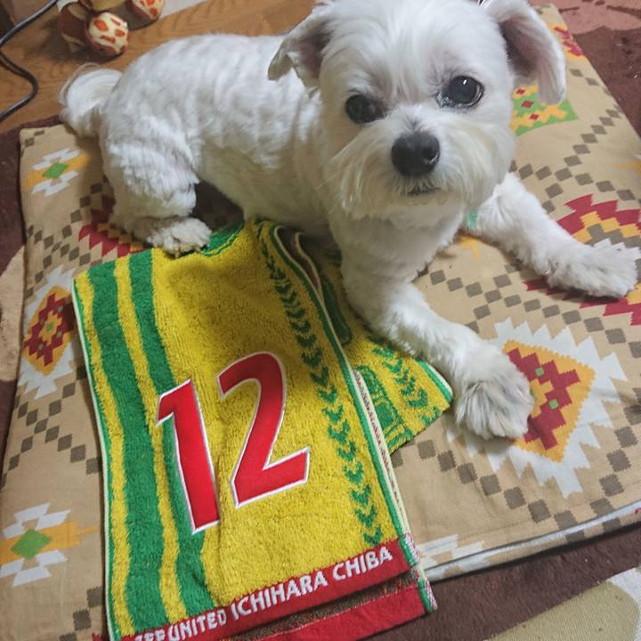 956c3e51 10a9 4def 9a20 7c16fbdbd511 1644584388068