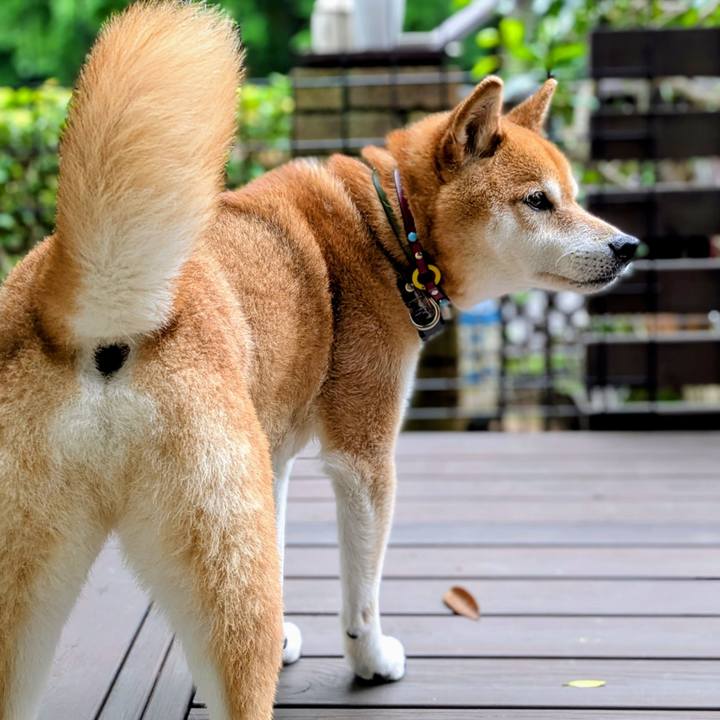 956c6ce5 255a 4b75 9a32 4f0339e19b46 1750933815186