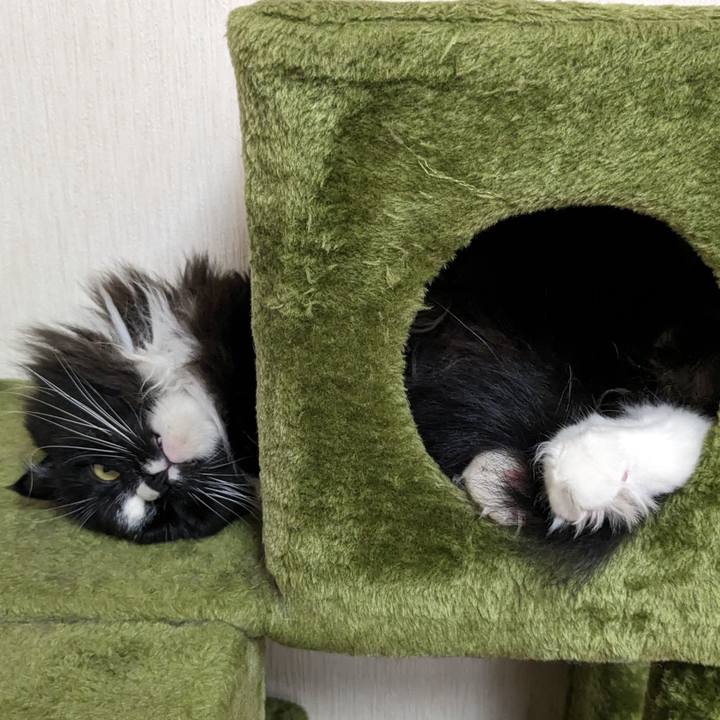 956ca660 04fc 4390 9e49 cf2367f1980f 1688646845463