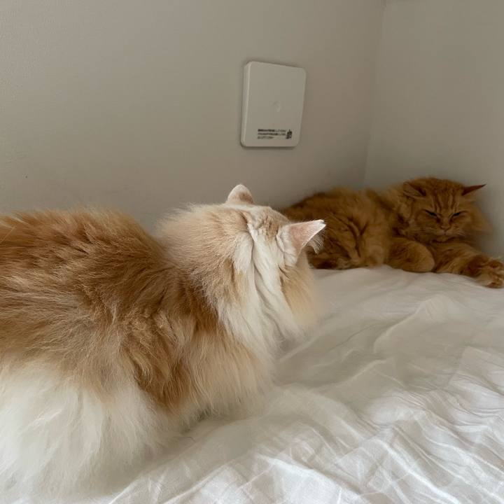 956cd322 af3b 45ac 80de eb25f6ea1486 1719526468249