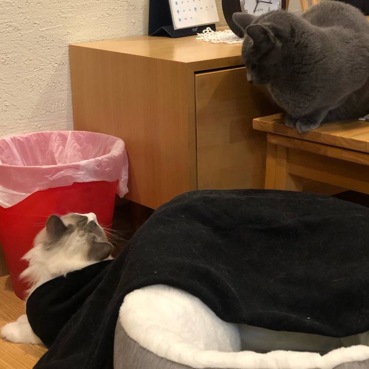 956cf3e5 4259 4005 89e4 cb1b603b537f 1577147657409