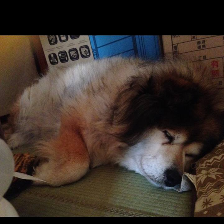 956d6188 9c19 4f26 aa1c 60986ab1bd61 1572217908924