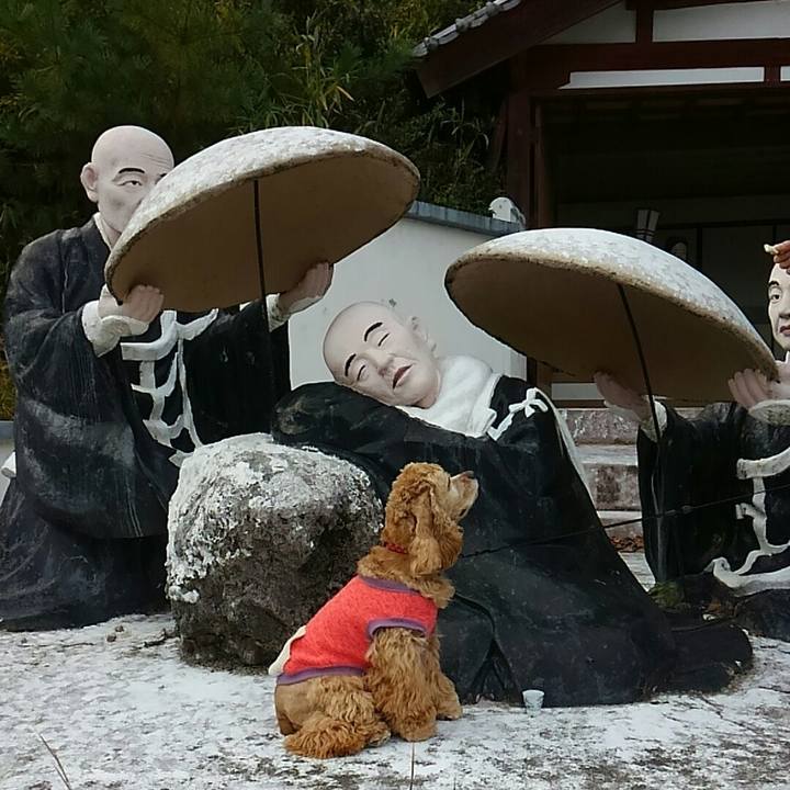 956d7753 db67 465e ad9a f7842a8d254d 1510476919624