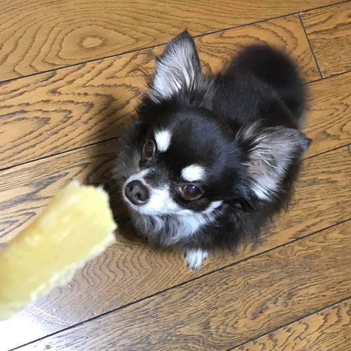 956d9770 49e6 4406 9990 c9ea2c0063e5 1545118868902