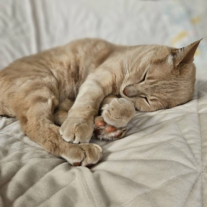 956d9879 ee29 4cba 8ad7 d784f2a8bc04 1712986951599