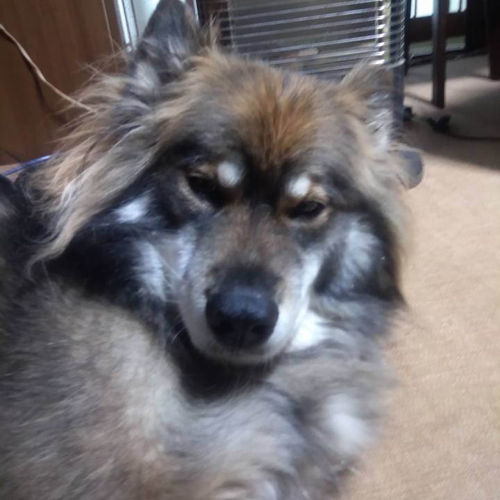 956dd79c 6ac5 4231 90fb 7de09967c503 1639898890268