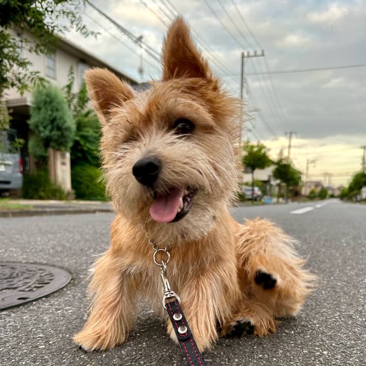 956dedb1 d837 4798 8c60 1d569d28a1c6 1723015866727