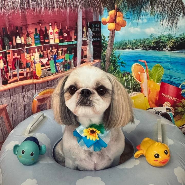 956e098b a7dc 4938 9b9c 0a21c4c43dad 1752500717267