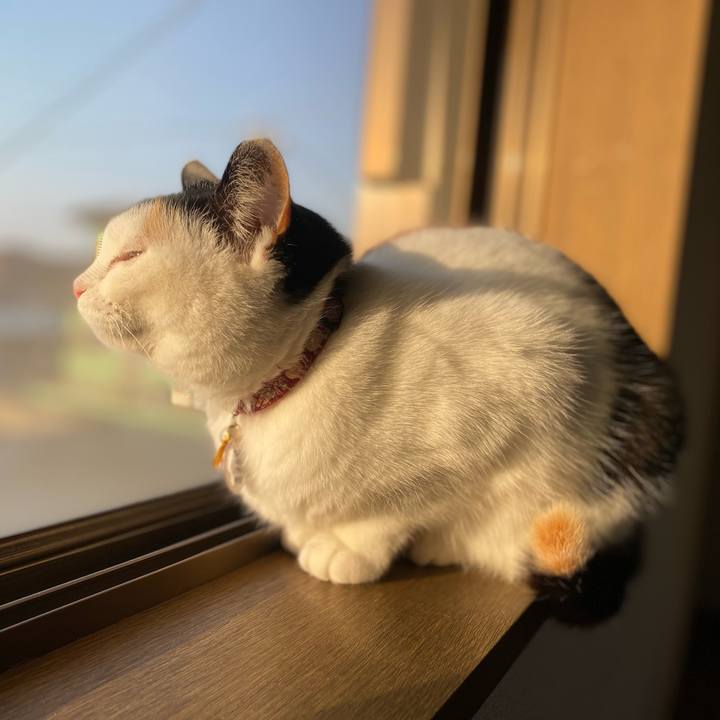 956e3bf5 17cb 4f13 859c 45becafdd582 1646693065749