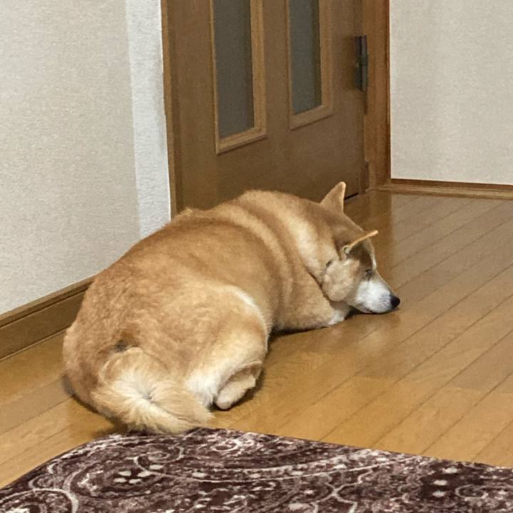 956e669e a57b 4924 88e2 6348d74acfa6 1615468168690