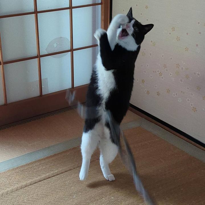 956e678d d726 40fd b317 5ac3bc17120b 1695612119647