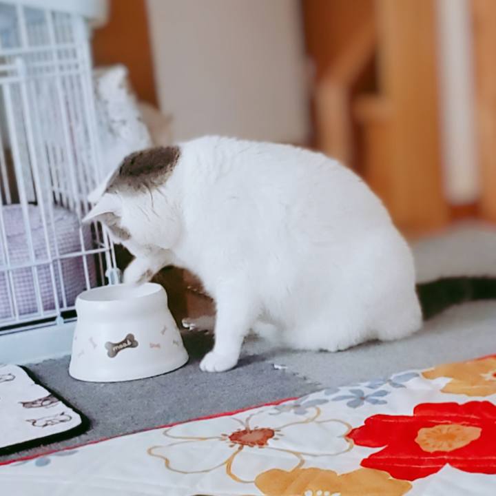 956e8b69 5354 484f abdd 713c72ebcb6c 1593491242103