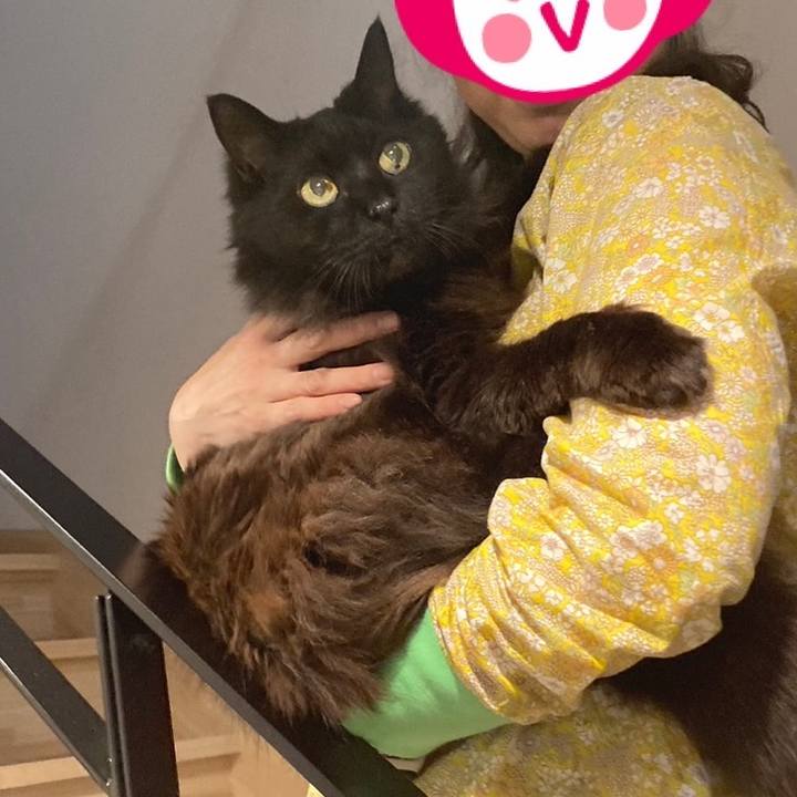 956e978d 2afe 4ab3 81c2 67dba470d1db 1682728442839