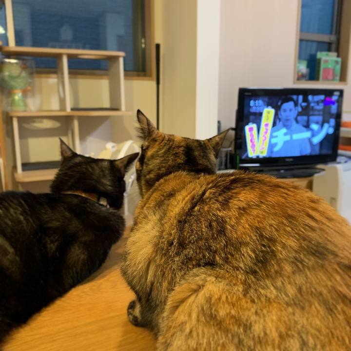 956ea0a2 fdc1 4e3f 864f 070ffeb06e08 1563880718855