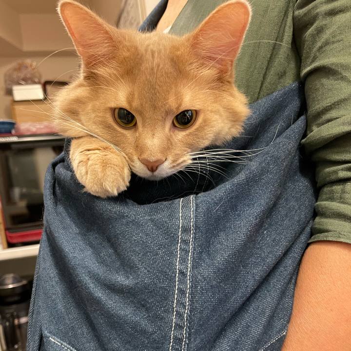 956ee2ca 54f5 45ae 85db c5c07c42147a 1606133208040