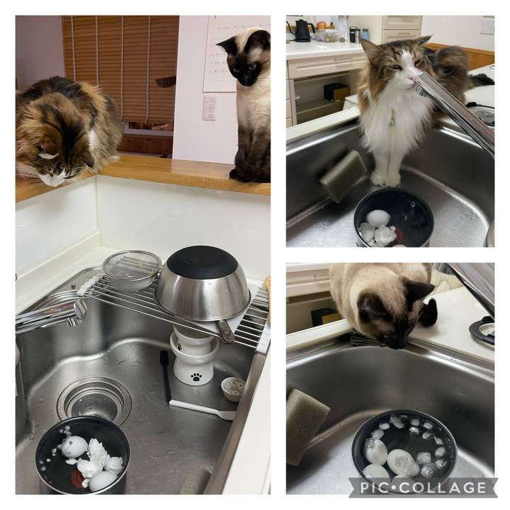 956f0652 ac8d 4869 9308 caedce260043 1737060765322