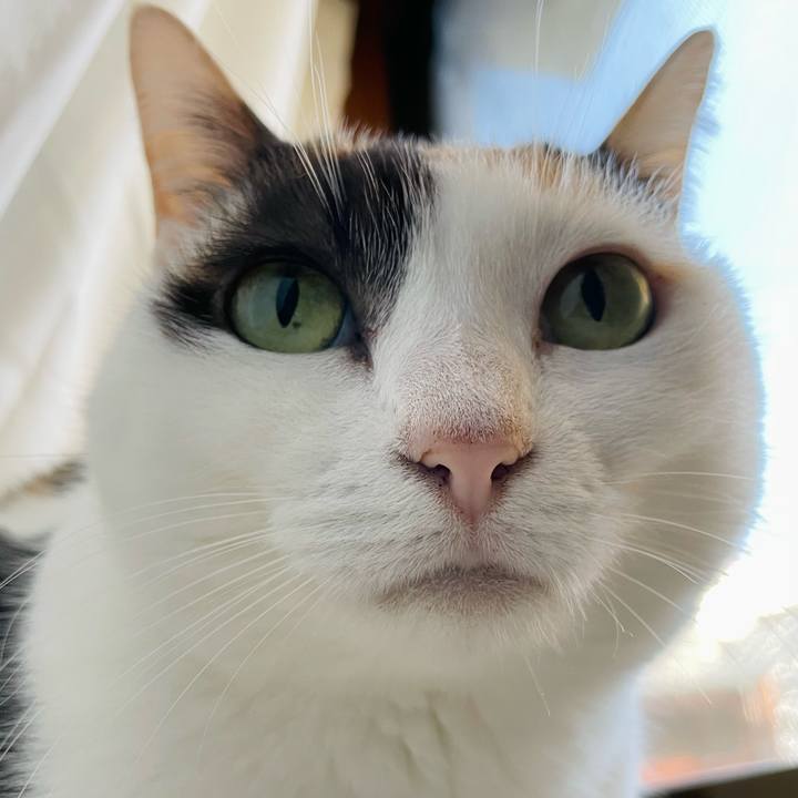 956f0bcb f17a 4491 b568 1f45f0715774 1638238610155