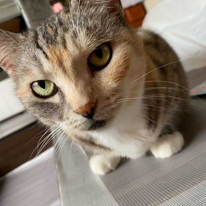 956f15c2 2cfb 4870 ae28 ccf344d490bb 1626242645628