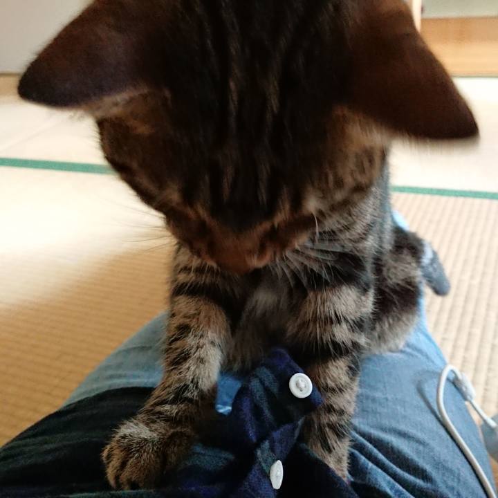 956f2dd6 171a 493e bd1a f37377dcd504 1550529080112