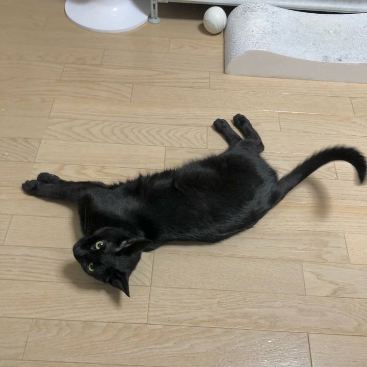 956f3289 dd87 4932 bdb6 16f4a5b0f0bf 1630065619151