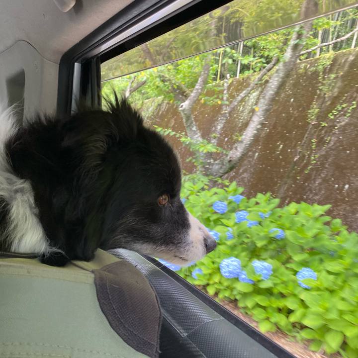 956f902c 6c2b 441b 9601 3c61ca8d48d2 1685954430410