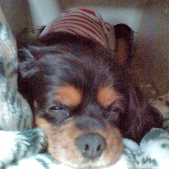 956faf12 025d 483a a8c0 71561b88fbce 1541652932193