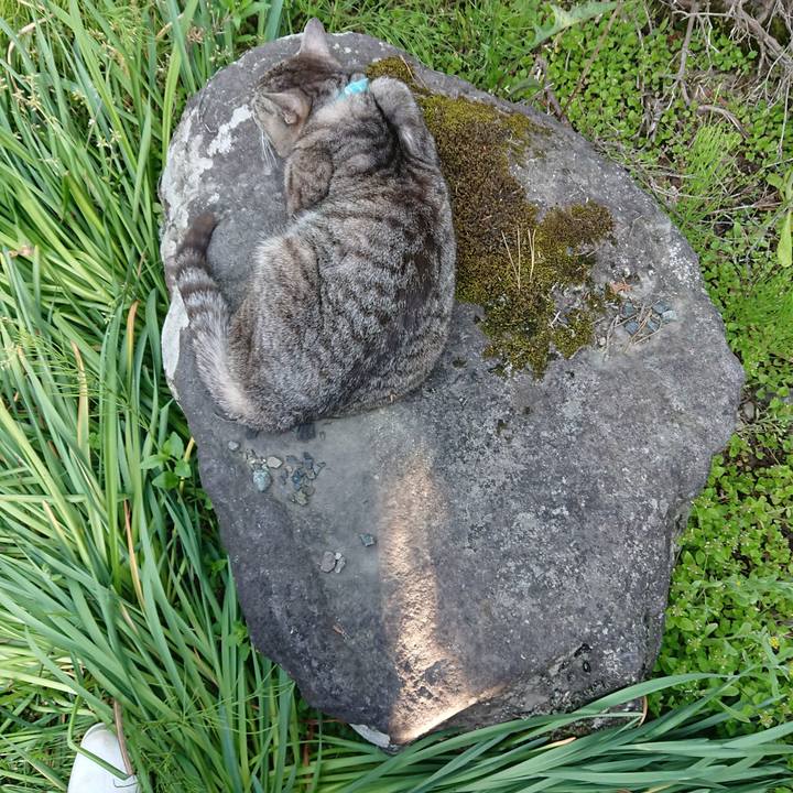 956fb2e6 8145 4789 aa6e 013e892cbc4d 1559203993159