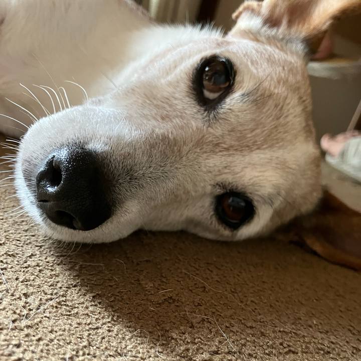 956fbcef 1b6d 4148 a8f2 325b1776aa08 1759791709523