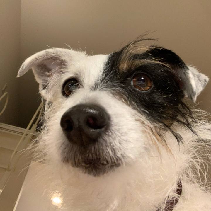 956fc5f7 8076 4978 81ca 0b20d912aaf6 1612094829399