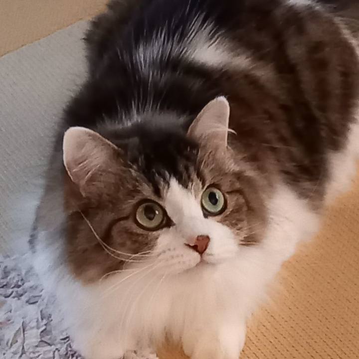 956fd328 3e93 4a8b 9244 dba9e8ef32b3 1605355815974