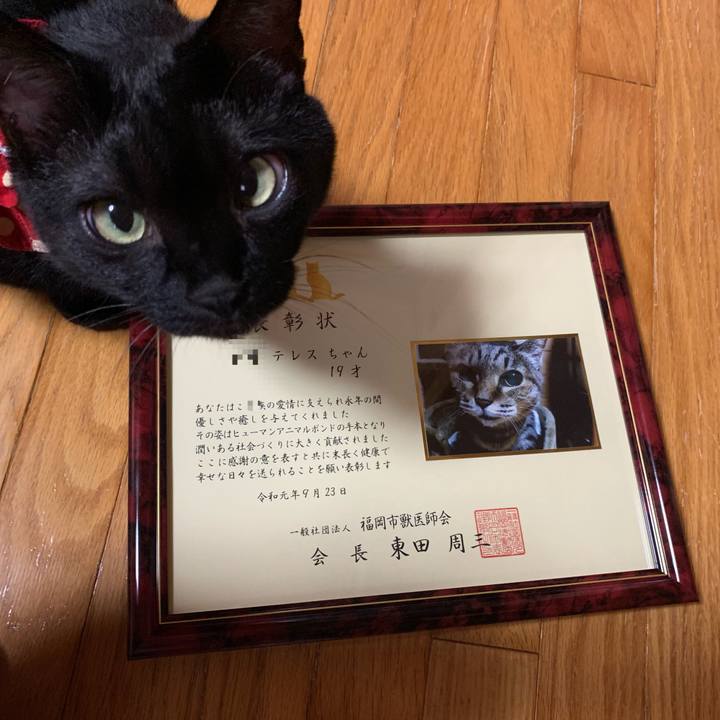 956fed57 bc73 4848 8402 e177754c3f54 1569732416748