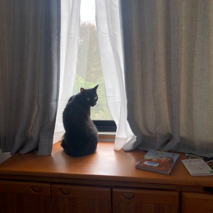 95700f9e d6af 45cc 83f2 6197fba22cb4 1603756205272