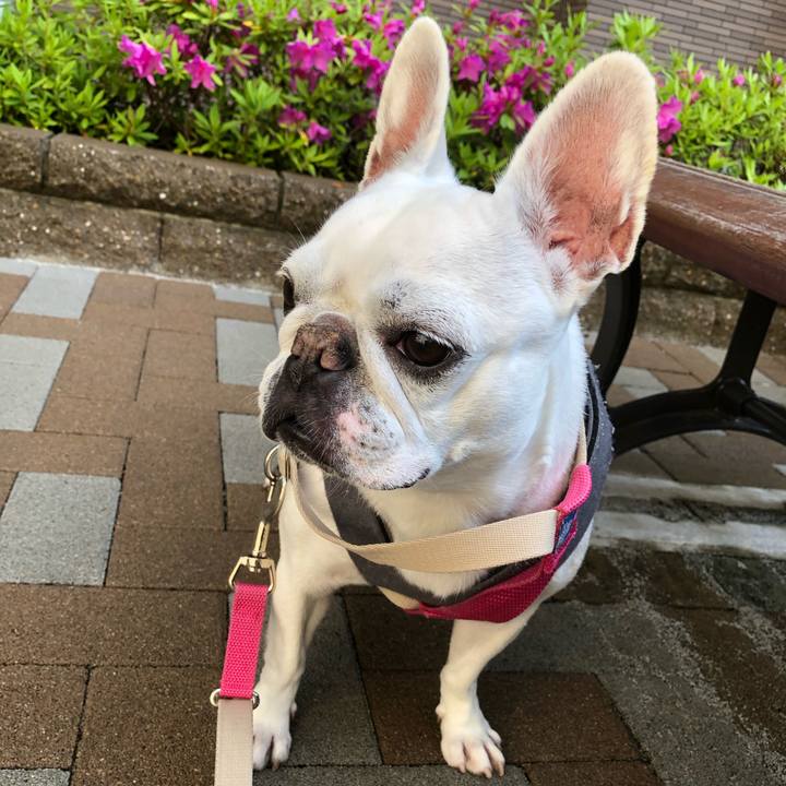 95701b7a 9038 45d6 992a 86dc656f15fd 1618705371811