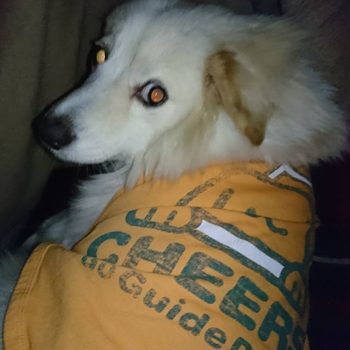 95703890 2e90 427e 8e21 559e942ed5b4 1516825664167