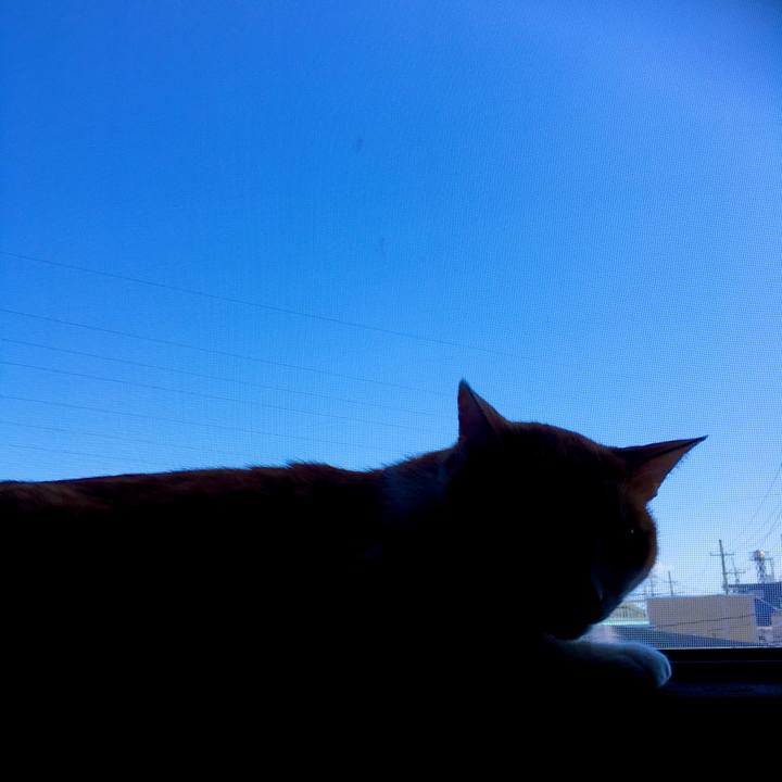 95704403 93cb 4078 becb fdfe3b3f4fd2 1571020705955