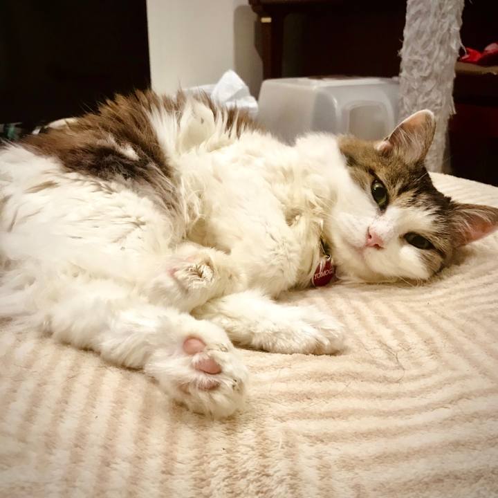 957084c9 bb02 4065 b2c2 2bf34d966193 1622981765217