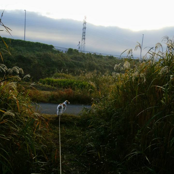 9570903f 59e1 4be7 b79c c7adc21aac2b 1541377391071