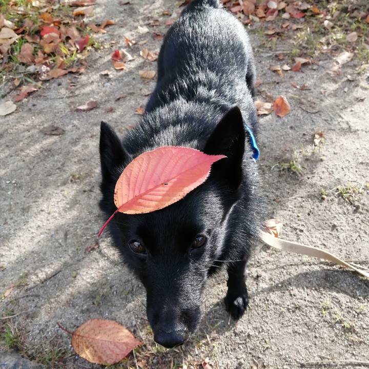 9570b038 5649 4624 a504 642654f67836 1606003532864