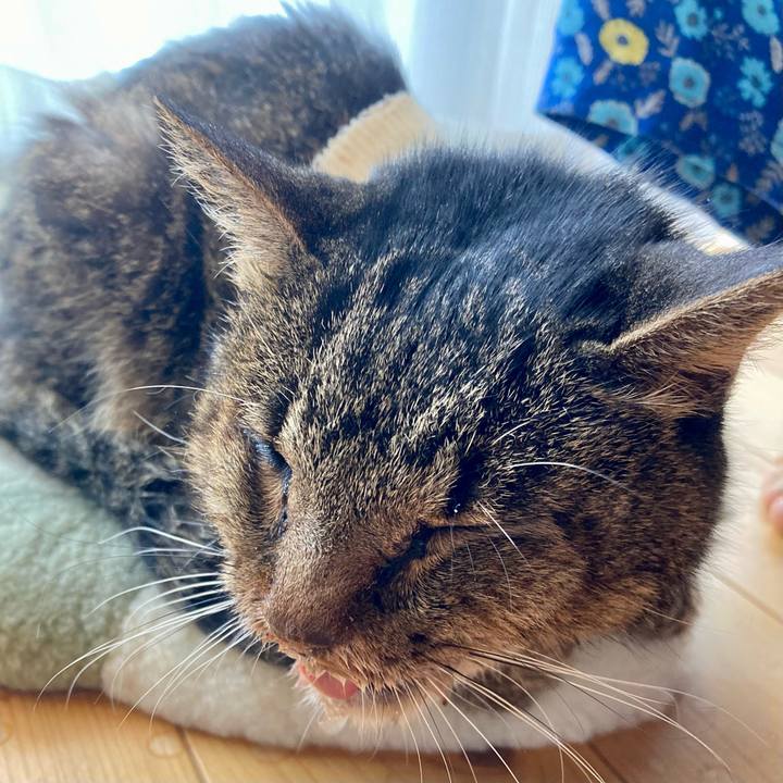 9570d07a b2dd 4821 bbfa 33065f40137a 1687998807262