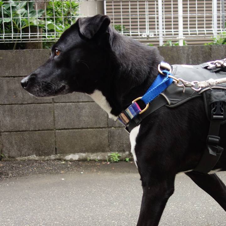 9570d9b0 a3eb 4e59 94ae b515155dbcf3 1652749418396